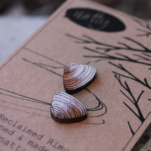 Pipi Shell Reclaimed Rimu Earrings