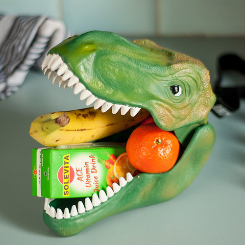 Dino Lunch Case