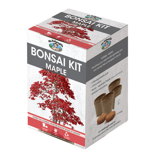Maple Bonsai Starter Kit