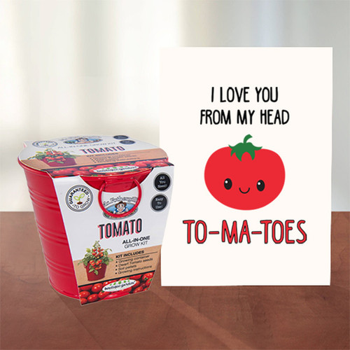 From My Head To-ma-toes - Tomato Grow Kit & Card