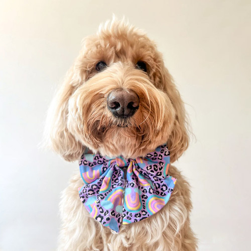 Boss & Boo Luxe Dog Sailor Bow: Happy Go Lucky Leopard