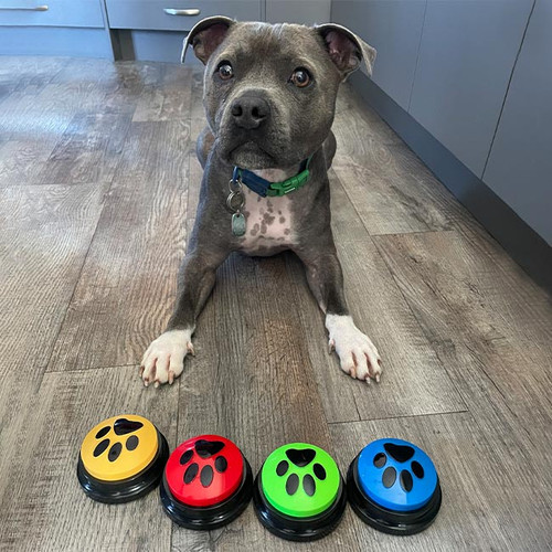 Pet Speech Buzzers (set of 4)