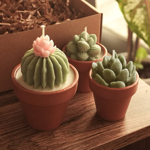 Potted Succulent Candle