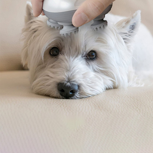 Electric Pet Head Massager