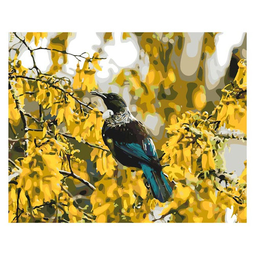 Tui in Kowhai Tree Paint by Numbers Kit