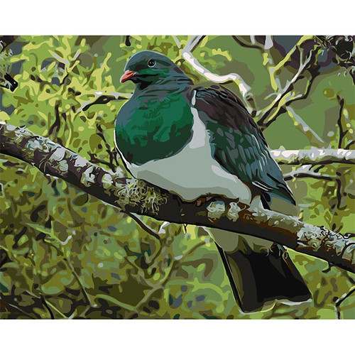 Kereru Paint by Numbers Kit