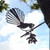 Piwakawaka (Fantail) Steel Art