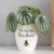 You are the Bees Knees Ceramic Planter