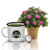 Tea Mug Grow Kit - Bergamot