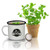 Tea Mug Grow Kit - Peppermint