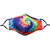 Adult Abstract Tie Dye Swirl Reusable Face Mask