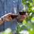 GoVino Red Wine Glasses - 4-pack