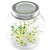 Glass Sprouting Jar