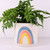 Medium Ayla Rainbow Planter NZ