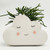 White Cloud Planter NZ