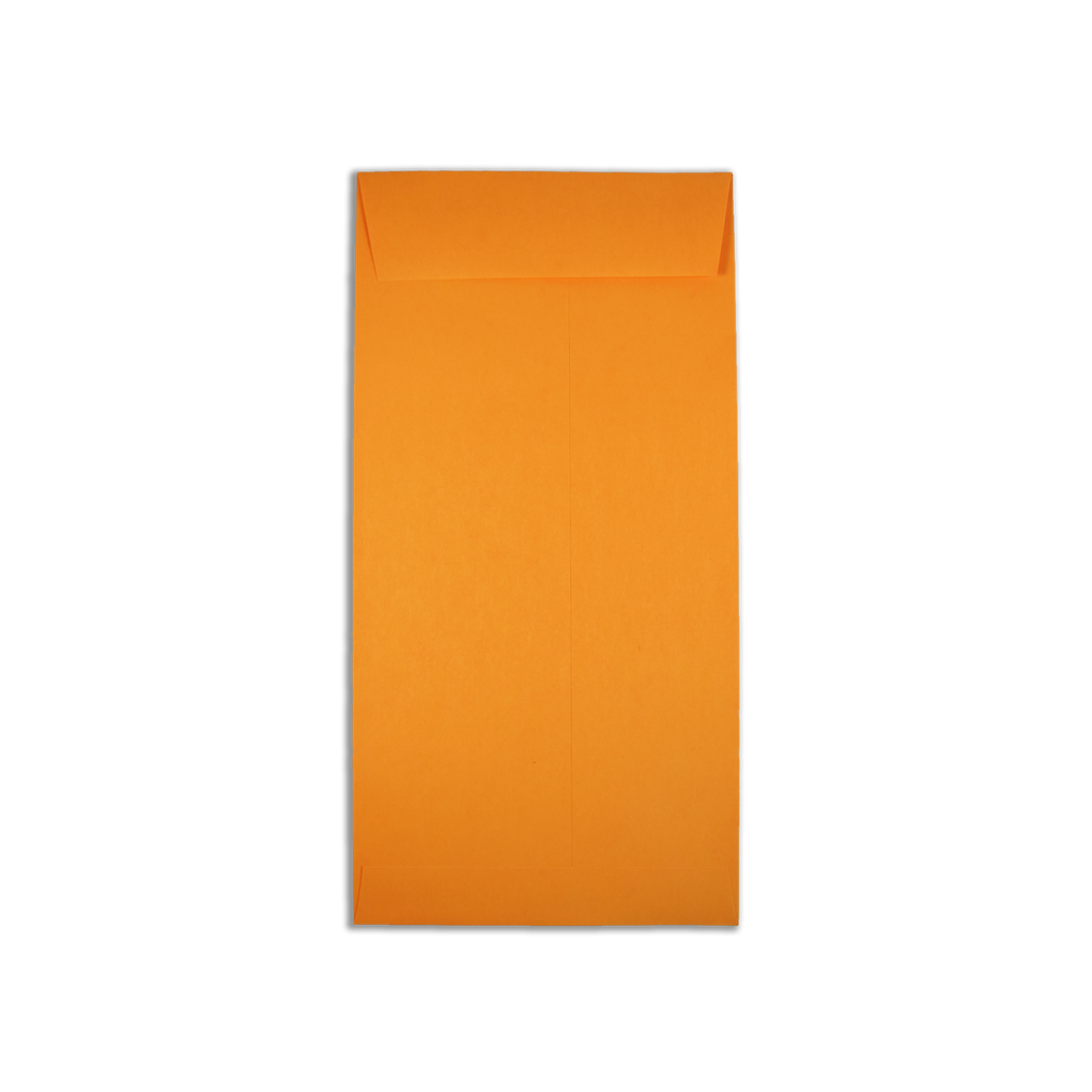 License Plate Envelope (100 Count)