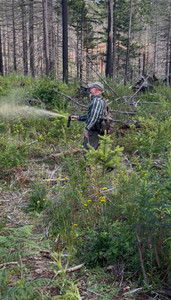 Video: Bear Spray blowback exposure! SoRite Defense Cleanse wipes used to decon. height = width / aspect-ratio