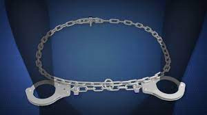 Prisoner Restraint Sytem