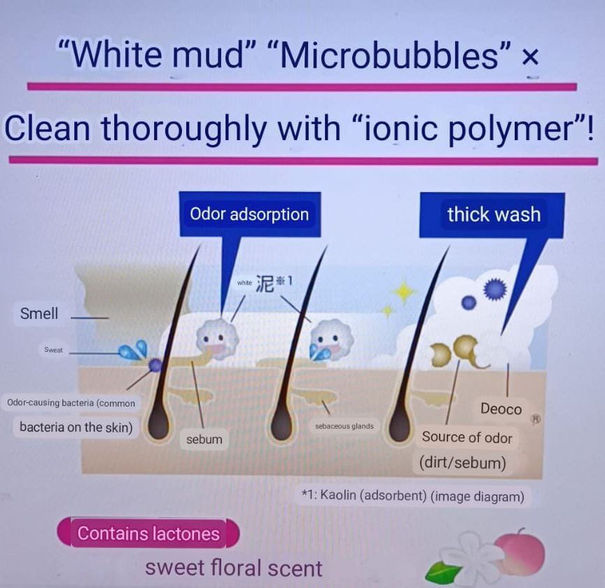 shampoo-diagram1.jpg