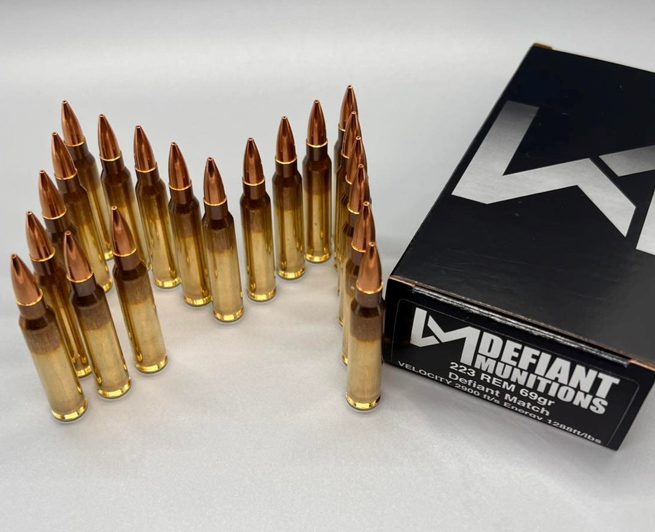 .223 69gr Defiant Match Ammunition