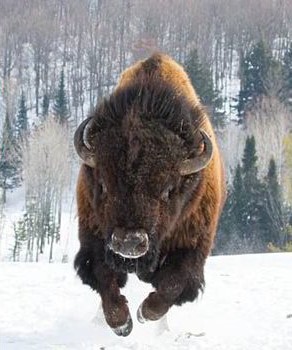 South Dakota at it's finest