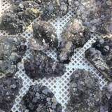 Natural purple fluorite rough specimen - view 1