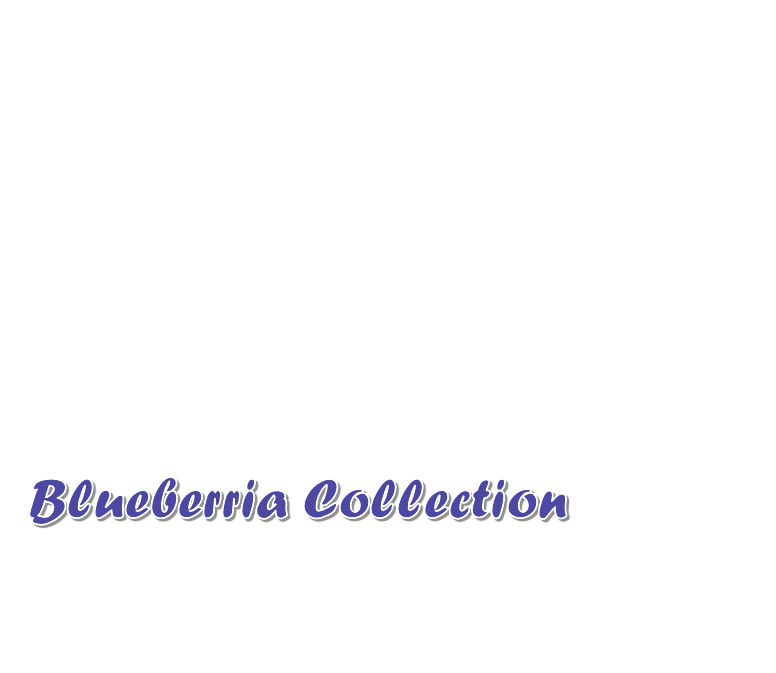 Explore Now - Blueberria Collection