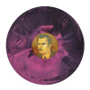 House on Haunted Hill Vinyl Record