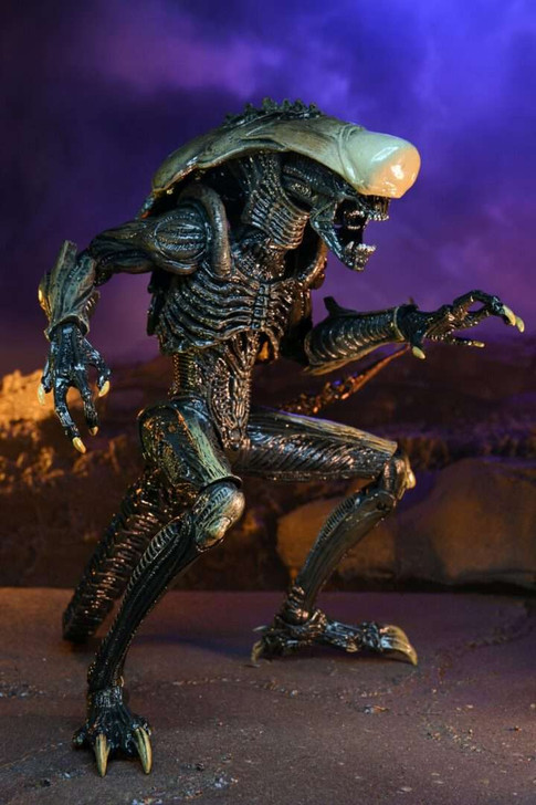 NECA Alien Vs Predator: Chrysalis Alien (Movie Deco)