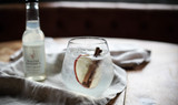 Apple & Cinnamon - Caorunn Gin with Dried Red Apple