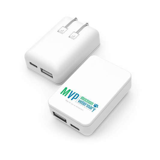 PowerUSB : 20 Watt Dual Port Travel Plug