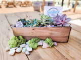 Private Succulent Garden Box Workshop 4/12 2pm 