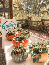 Succulent Pumpkin Workshop at The Flower Farm 10/8 11am