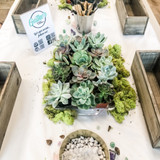 Succulent Garden Box Workshop at Blue Barn Provisions 4/13 4pm