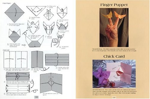 Advanced Origami: More than 60 Fascinating and Challenging Projects for ...