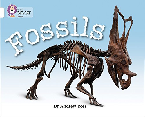 Fossils (Collins Big Cat)