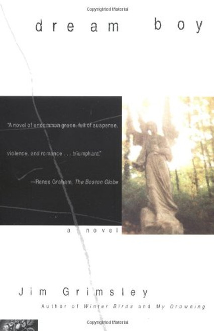 Dream Boy: A Novel Dream Boy: A Novel