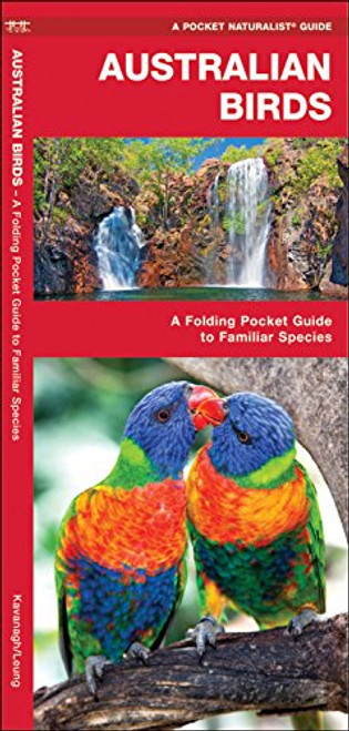 Australian Birds: A Folding Pocket Guide to Familiar Species (A Pocket Naturalist Guide)