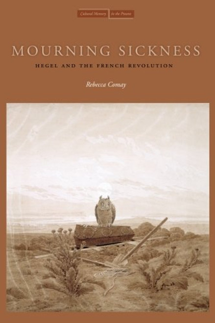 Mourning Sickness: Hegel and the French Revolution (Cultural Memory in the Present)