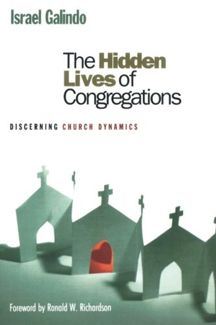 The Hidden Lives of Congregations: Discerning Church Dynamics