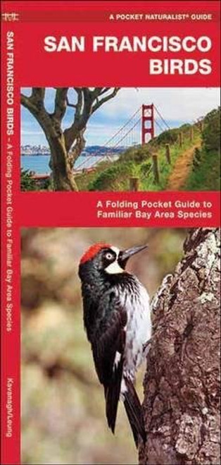 San Francisco Birds: A Folding Pocket Guide to Familiar Bay Area Species (A Pocket Naturalist Guide)