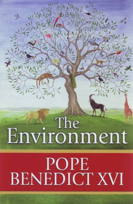 The Environment