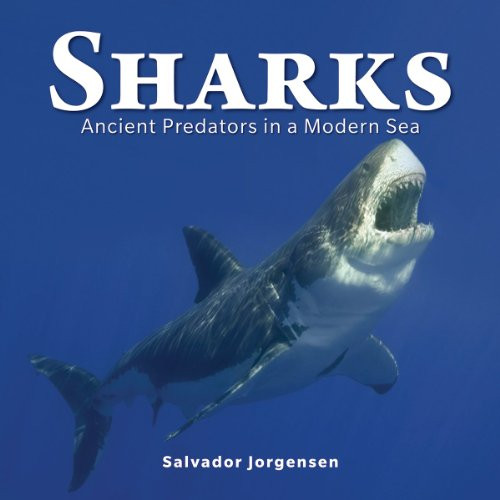 Sharks: Ancient Predators in a Modern Sea Sharks: Ancient Predators in a Modern Sea
