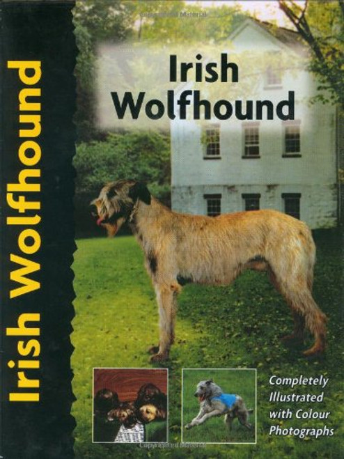 Irish Wolfhound (Pet love)