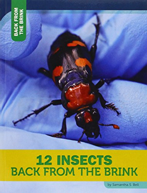 12 Insects Back from the Brink