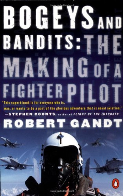 Bogeys and Bandits: The Making of a Fighter Pilot