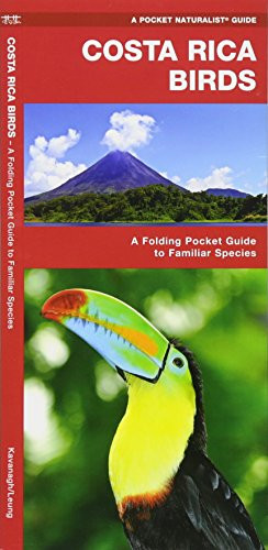 Costa Rica Birds: A Folding Pocket Guide to Familiar Species (A Pocket Naturalist Guide)