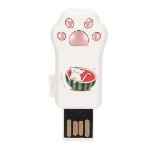 Flash Drive Rose Gold Watermelon Pattern Cat Paw Shape USB2.0 Flash for Information Storage Data Transmission PC CarRose Gold Watermelon Pattern Cat Claw Shape 128GB