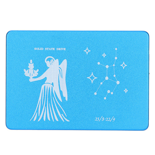 Hsthe Sea Mobile Solid State Disk Portable 2.5 Inch Virgo Blue Metal External SSD for PC Computer480GB