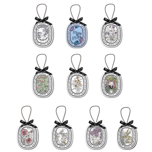 10Pcs Car Air Fresheners Hanging Air Fresheners Long Lasting Air Freshener for Car Truck Home Decor